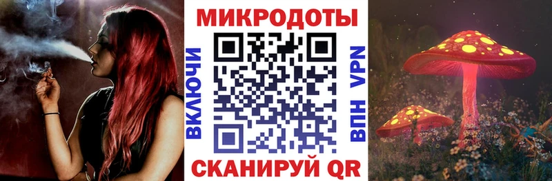 Галлюциногенные грибы Psilocybe  Енисейск 